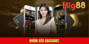 Nhóm Kéo Baccarat - Cách Vận Hành Và Những Rủi Ro Tiềm Ẩn