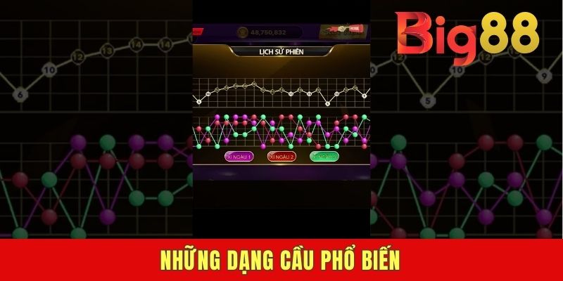 Những dạng cầu phổ biến