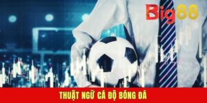 Thuật Ngữ Cá Độ Bóng Đá - Cẩm Nang Giải Mã Cho Dân Chơi